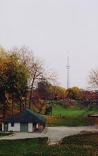 Trinity Bellwoods view