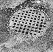 Manhole