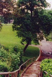 Trinity steps