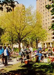 Moss park sale