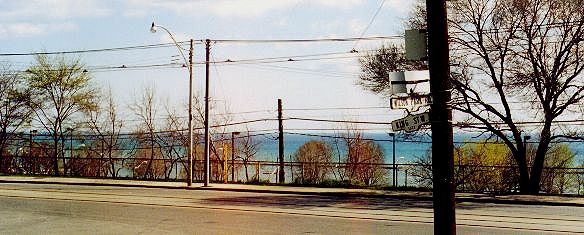 Lake vista
