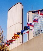 Flags at City Hall